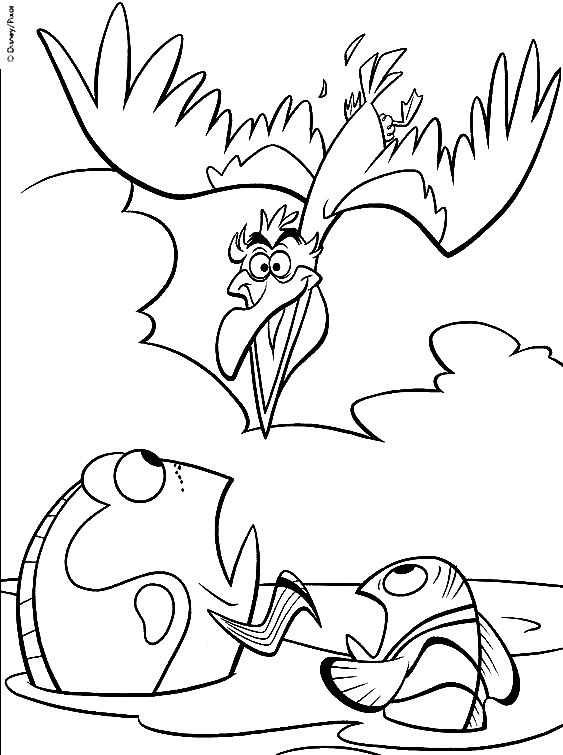 coloriage nemo dory et le pelican